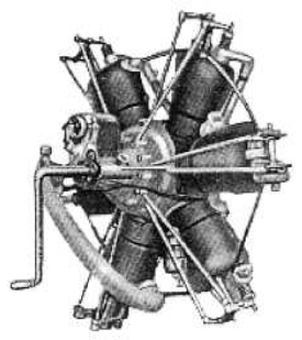 Albatross 100