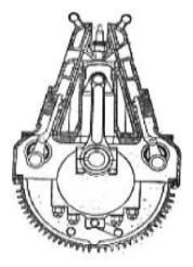 Sección del M. Jameson
