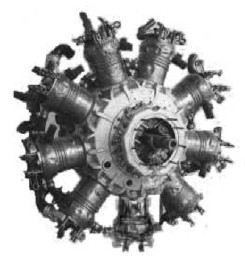 Anatra-Salmson