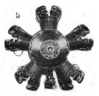 Radial de Angle