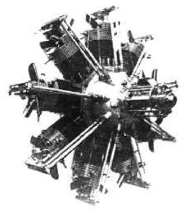 Renard de 200 CV