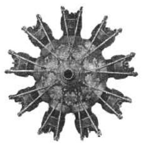 CZ, frontal