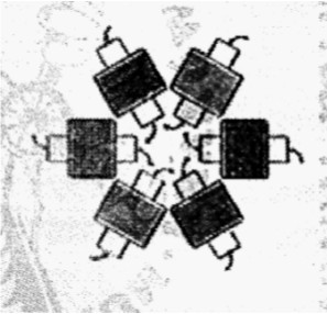 Demont, Disposition of the cylinders