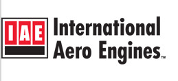 IAE logo