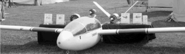 A motor-glider powered by Jet Beetle 