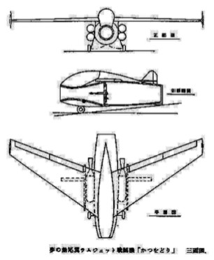 Katsuodori aircraft triptych