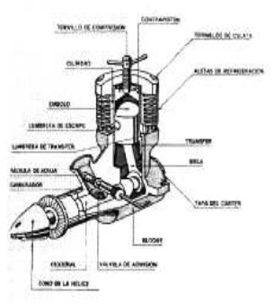 Zom cutaway