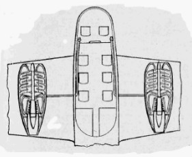 Design of a twin-engine airplane powered by Milo