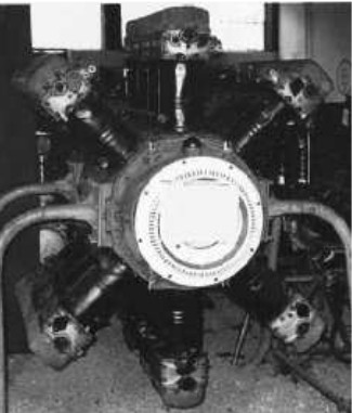 Argus As-5 engine