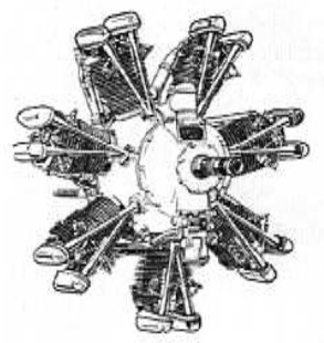 Genet-Major with seven cylinders