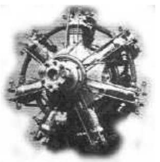 The 7-cylinder Salmson radial