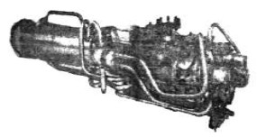 SEPR 25, fig. 1