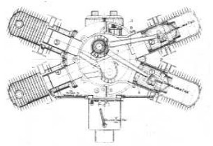 Stedman, cross-section