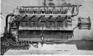 Sikh III, right side view