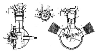 Viale schematic diagram for interpretation