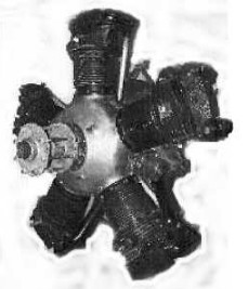 Scarab Junior