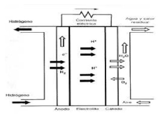 Fuel cell principle diagram